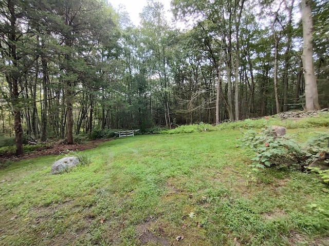 28 Tahmore Pl, Shelton, CT 06484 - photo 6