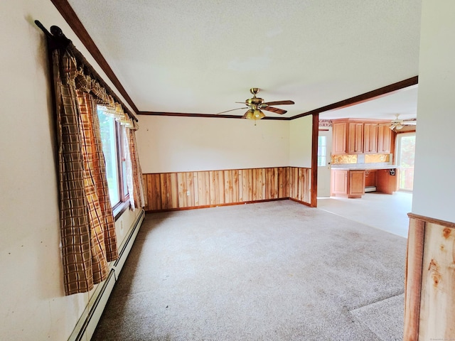 947 Ekonk Hill Rd, Voluntown, CT 06384 - unfurnished living room featuring ceiling fan, healthy amount of natural light, light carpet, a wainscoted wall, and ornamental molding