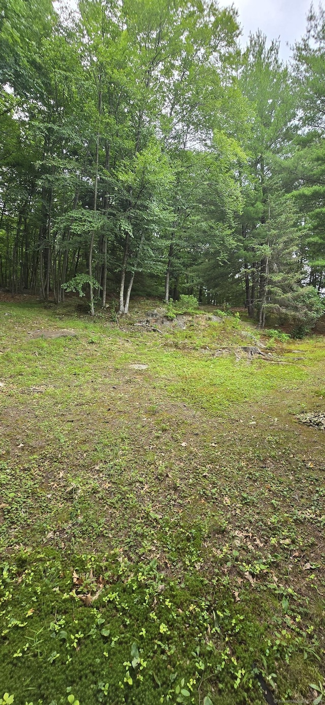 100 Mildred Ave, Waterbury, CT 06708 - view of yard
