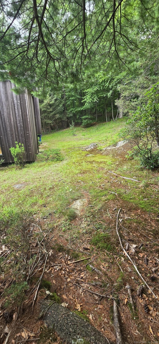 100 Mildred Ave, Waterbury, CT 06708 - view of yard