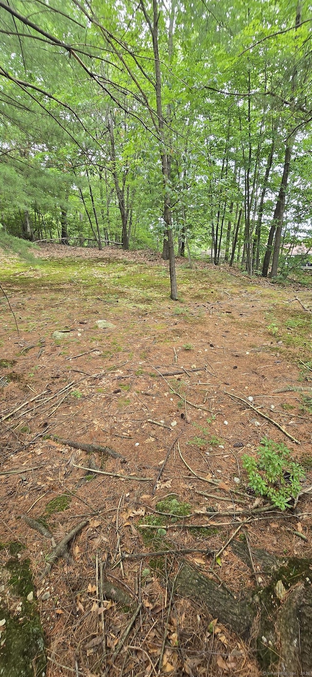 100 Mildred Ave, Waterbury, CT 06708 - view of yard