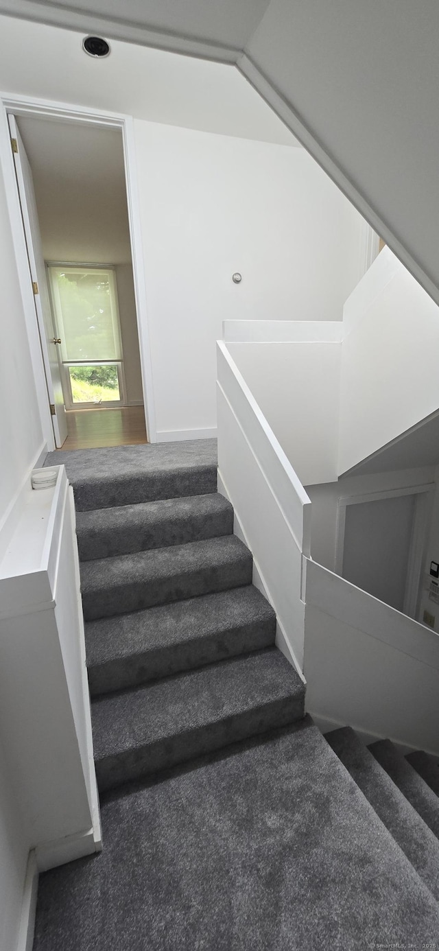 100 Mildred Ave, Waterbury, CT 06708 - stairs with carpet
