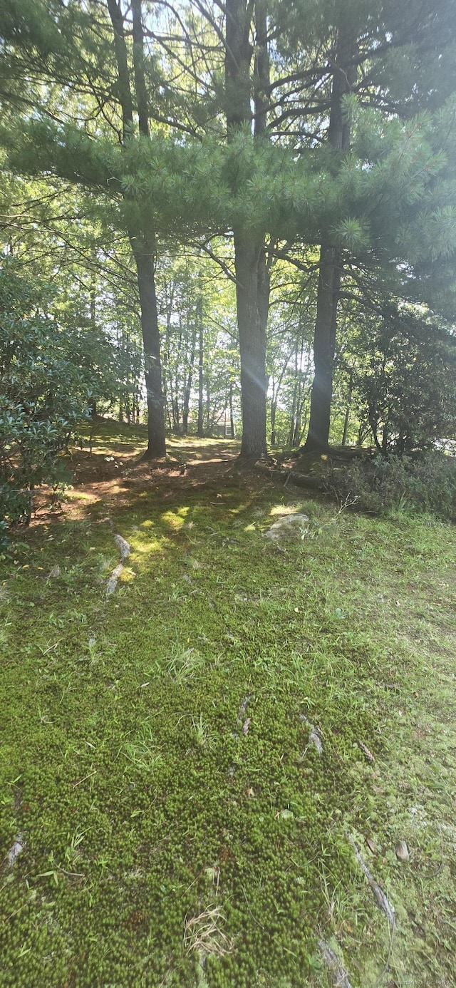 100 Mildred Ave, Waterbury, CT 06708 - photo 30