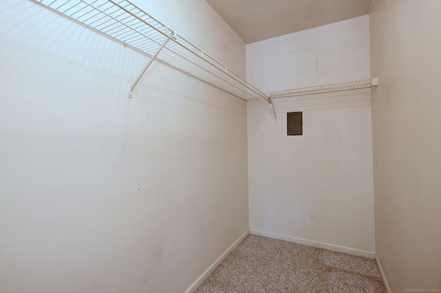 25 Janet Cir Unit F, Bridgeport, CT 06606 - spacious closet with carpet floors