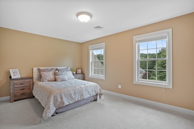 36 Blueberry Ln, Canton, CT 06019 - bedroom featuring baseboards and light carpet