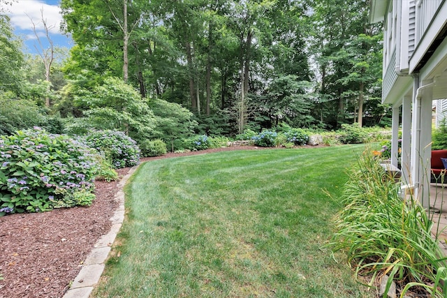 24 Windflower Ln, Shelton, CT 06484 - view of green lawn