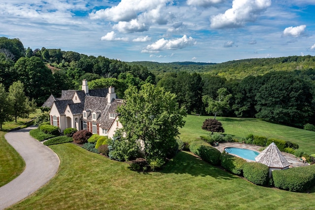 370 Northrop St, Bridgewater, CT 06752 - view from above of property with a heavily wooded area and a pool area