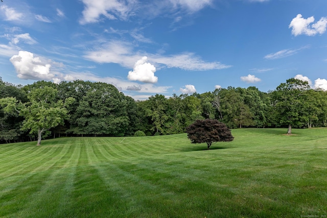 370 Northrop St, Bridgewater, CT 06752 - surrounding community with a yard
