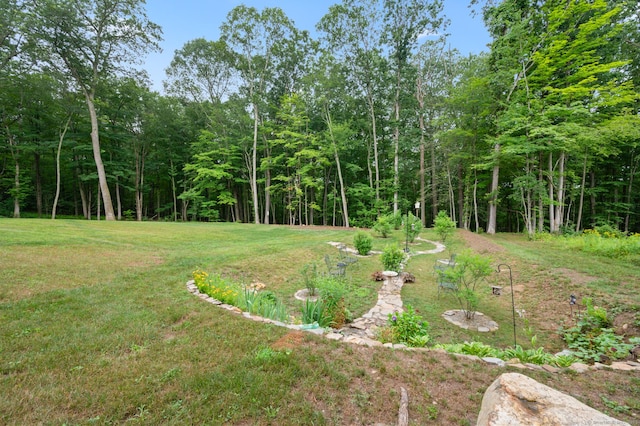 233 W Rd, East Haddam, CT 06420 - view of green lawn