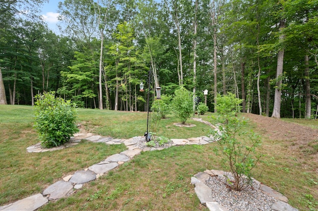 233 W Rd, East Haddam, CT 06420 - view of green lawn