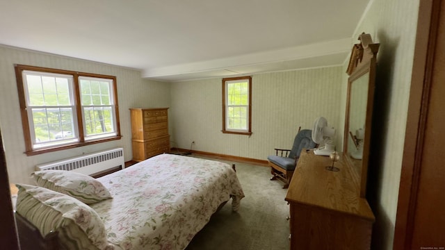 147 Smith Hill Rd, Winchester, CT 06098 - bedroom with radiator and carpet floors