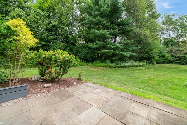 786 Heritage Vlg Unit D, Southbury, CT 06488 - photo 19