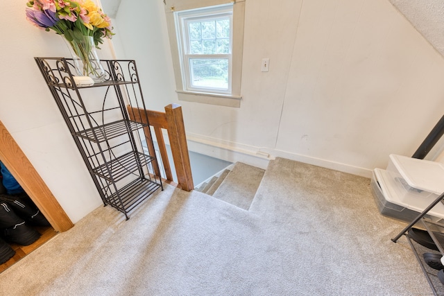 6 Rau Street Ext, Vernon, CT 06066 - stairway featuring carpet floors