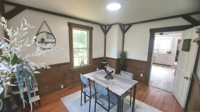 62 Park St, Stafford, CT 06076 - dining room featuring a wainscoted wall, plenty of natural light, wood finished floors, and wood walls