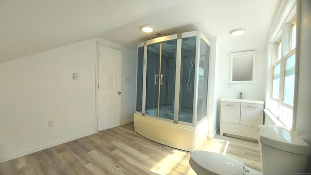 62 Park St, Stafford, CT 06076 - bathroom with a shower stall, wood finished floors, vanity, and vaulted ceiling