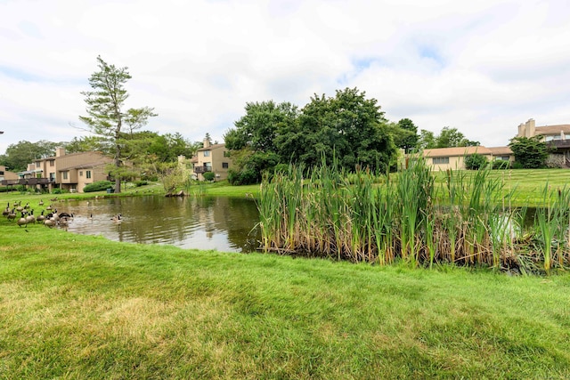 17 Pilgrim Hbr Unit A, Wallingford, CT 06492 - water view