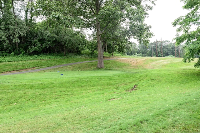17 Pilgrim Hbr Unit A, Wallingford, CT 06492 - view of green lawn