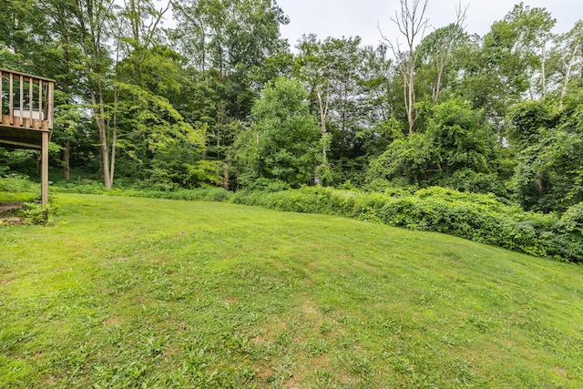 12 Rugby Rd, Shelton, CT 06484 - photo 27