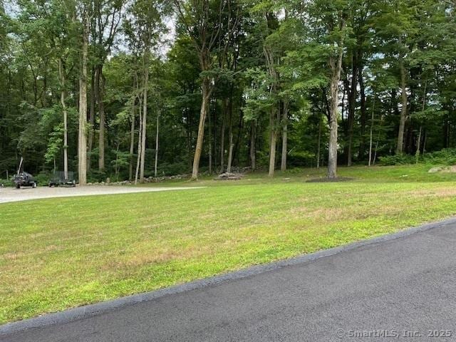 48 Mulberry Rd, Woodbridge, CT 06525 - view of grassy yard