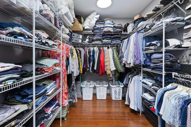 14 Finn Ln, Plainfield, CT 06374 - walk in closet with wood finished floors