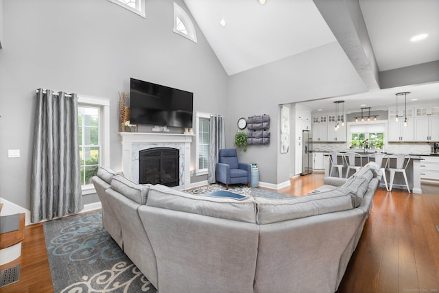 14 Finn Ln, Plainfield, CT 06374 - living area featuring high vaulted ceiling, light wood-style floors, and a glass covered fireplace