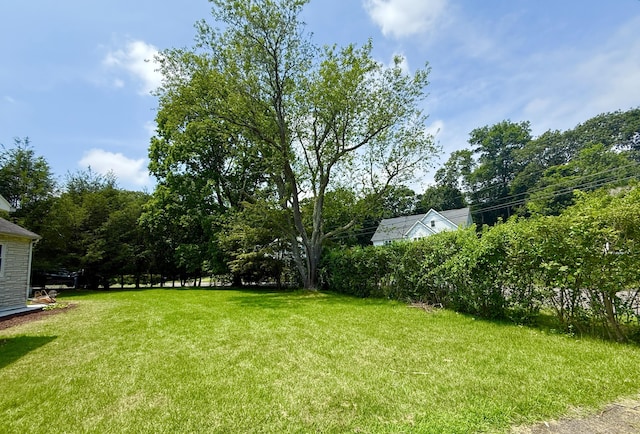 10 Meadowpark Ave W, Stamford, CT 06905 - view of grassy yard
