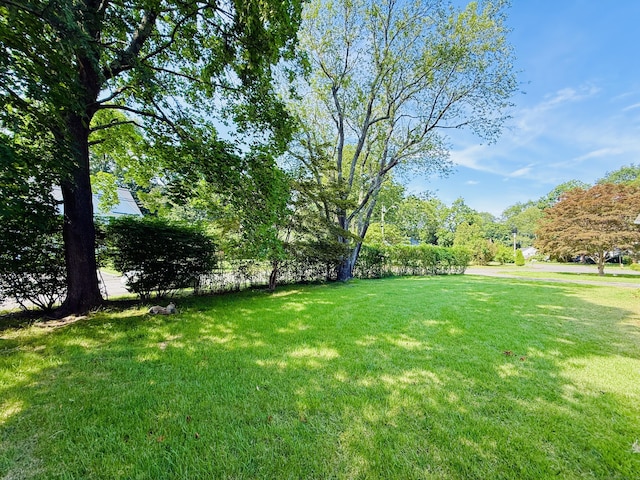 10 Meadowpark Ave W, Stamford, CT 06905 - photo 37