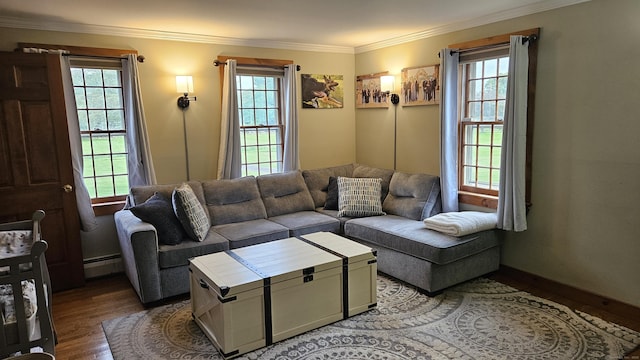 222 Gilead St, Hebron, CT 06248 - living room with wood finished floors, healthy amount of natural light, ornamental molding, and a baseboard radiator