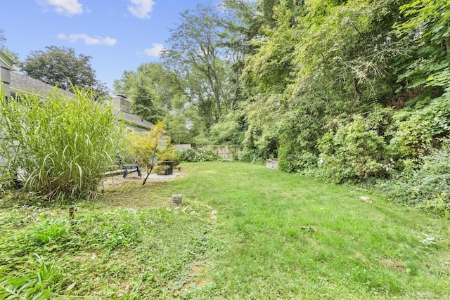 123 George St, Middletown, CT 06457 - view of yard