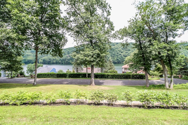 21 Lillinonah Dr, Brookfield, CT 06804 - photo 36