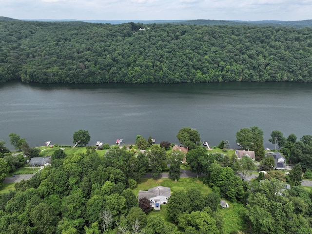 21 Lillinonah Dr, Brookfield, CT 06804 - photo 39