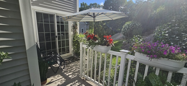 46 Stetson Pl Unit 46, Danbury, CT 06811 - photo 29