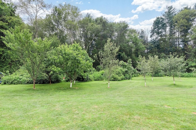 93 Cook Hill Rd, Killingly, CT 06239 - view of green lawn