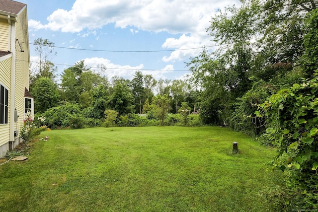93 Cook Hill Rd, Killingly, CT 06239 - view of grassy yard