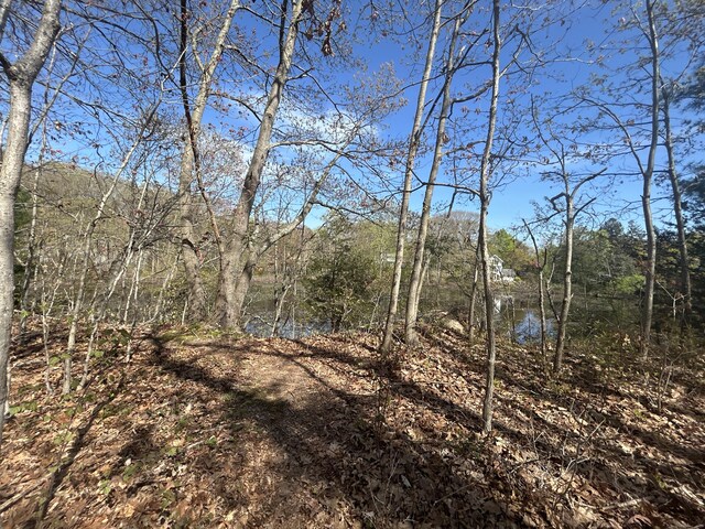 13 Hill St, Branford, CT 06405 - photo 21