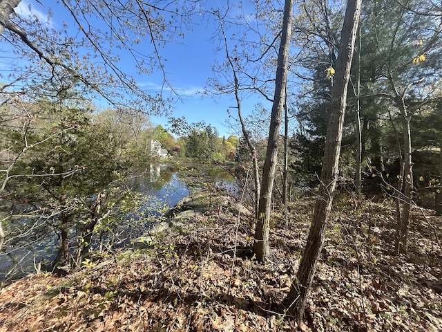 13 Hill St, Branford, CT 06405 - photo 22