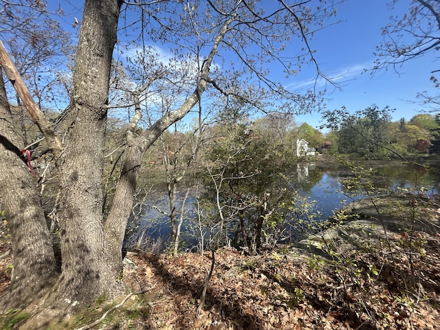 13 Hill St, Branford, CT 06405 - photo 23