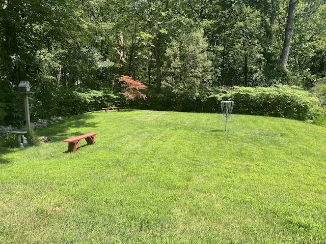 29 Grumman Ave, Wilton, CT 06897 - view of grassy yard