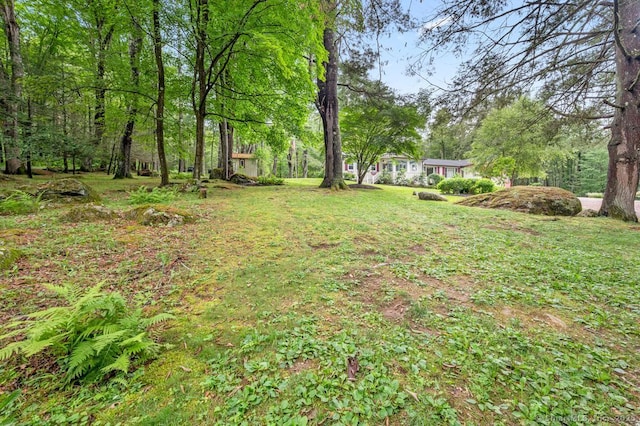 255 Dibble Hill Rd, Cornwall, CT 06796 - photo 34