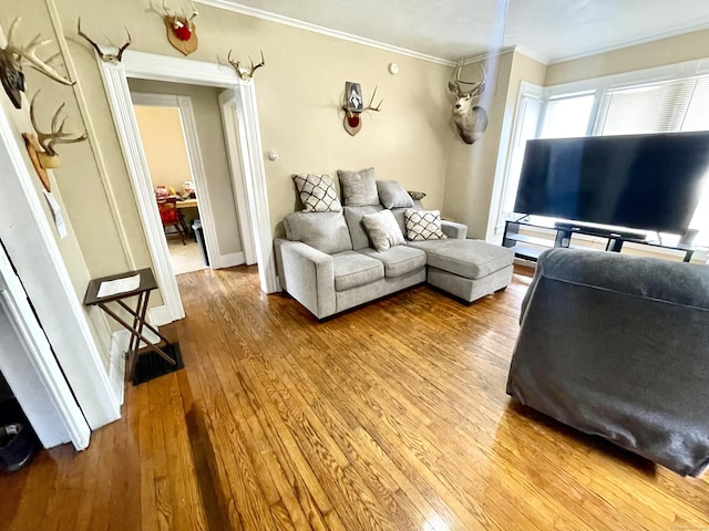 271 S Main St, Torrington, CT 06790 - living room with ornamental molding and wood-type flooring