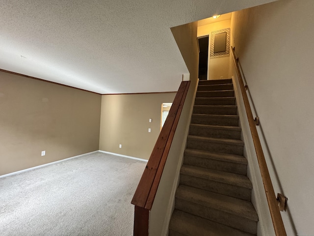 519 Scott Rd, Waterbury, CT 06705 - stairs with carpet flooring and a textured ceiling