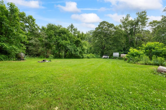 20 Harris St, Enfield, CT 06082 - view of grassy yard with a forest view