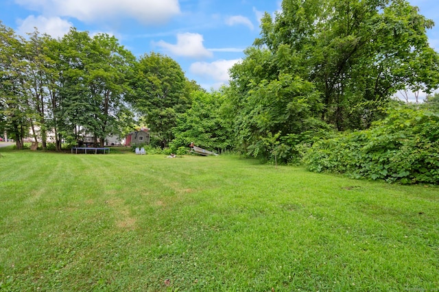 20 Harris St, Enfield, CT 06082 - view of green lawn with a trampoline