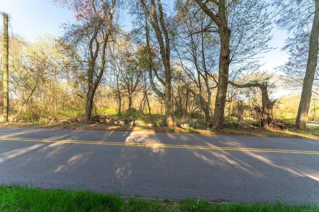 106 S Anguilla Rd, Stonington, CT 06379 - photo 15