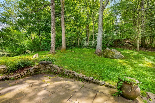 48 Own Home Ave, Wilton, CT 06897 - view of yard featuring a patio area