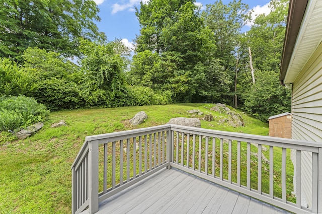 41 Hattertown Rd, Newtown, CT 06470 - photo 25
