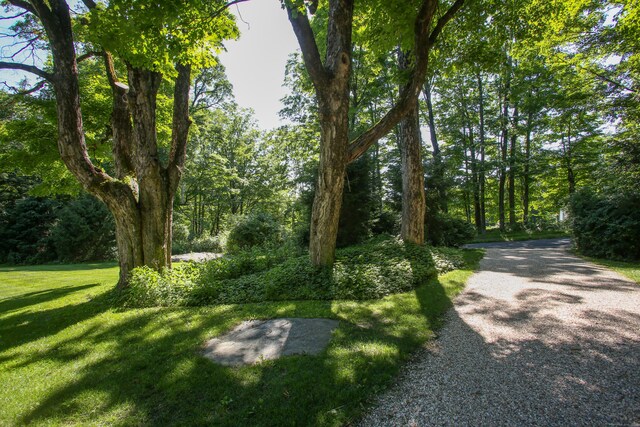 64 Todd Hill Rd, Cornwall, CT 06796 - photo 27