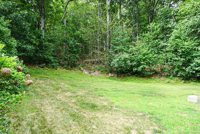 1450 Mount Carmel Ave, Hamden, CT 06518 - photo 39
