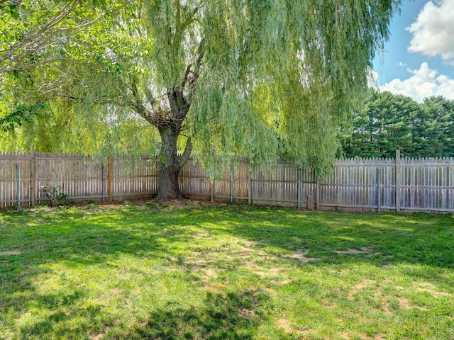 15 Courtney Ln, Killingly, CT 06241 - view of fenced backyard