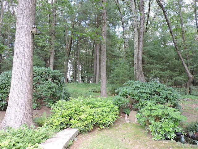 29 Graham Rd, East Windsor, CT 06016 - view of yard with a forest view